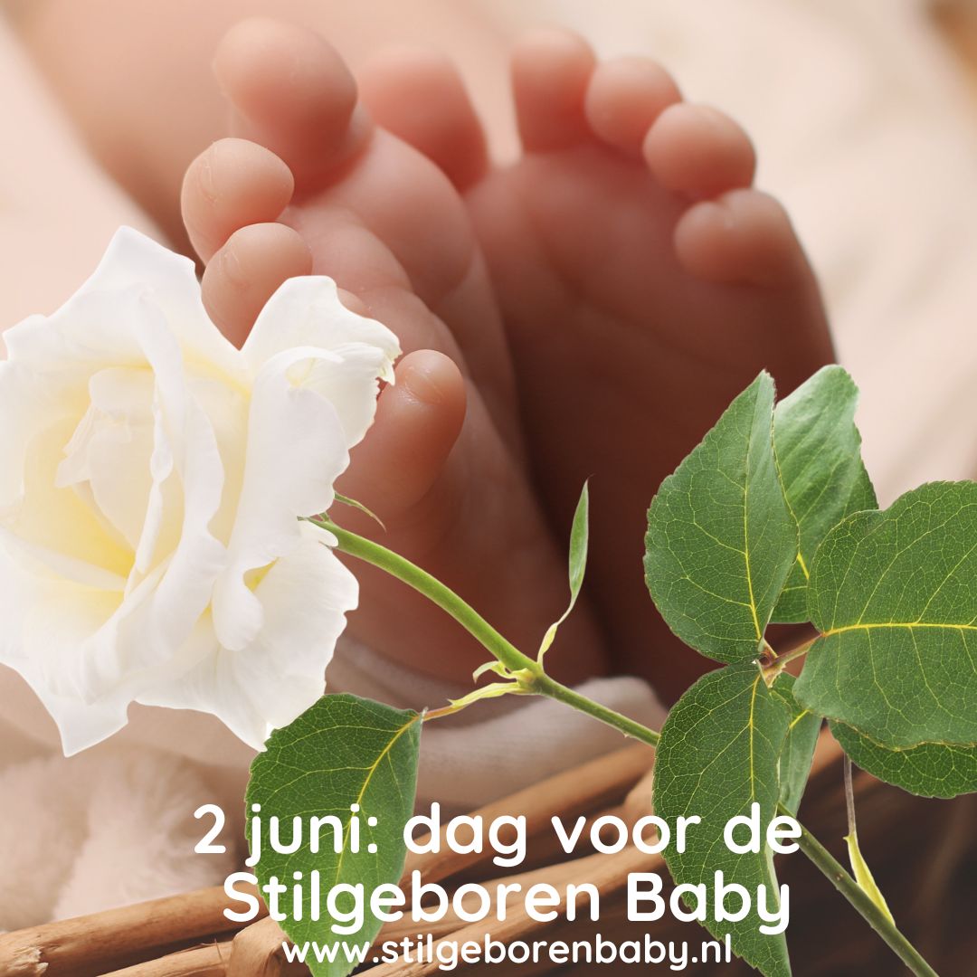 ib-dag-voor-de-stilgeboren-baby-2-juni